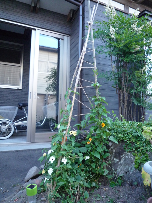 b0035611_2014339.jpg
