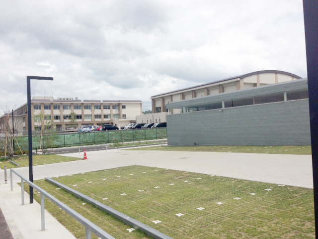 f0177818_16561651.jpg