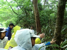 自然観察案内（森林教室）　豊川市立桜木小学校_d0105723_1916499.jpg