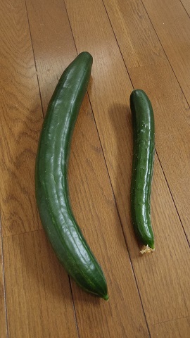 e0311225_8192913.jpg