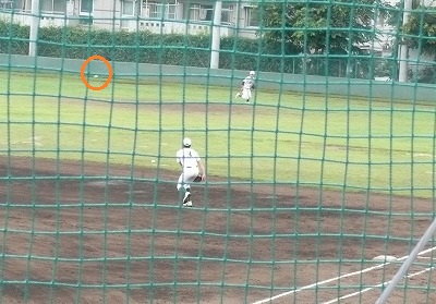 亜細亜大(2軍)対東農大(2軍) 7月6日 オープン戦 中編_b0166128_946569.jpg