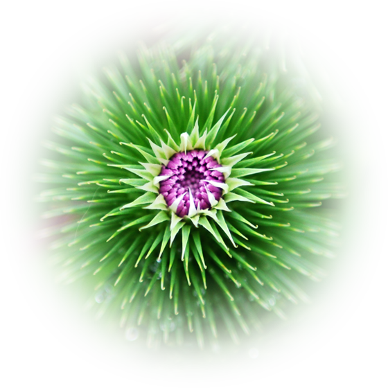 d0029829_22323074.png
