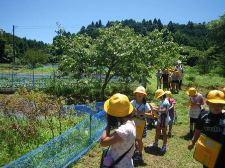 小学校の校外学習がありました_a0123836_17471539.jpg