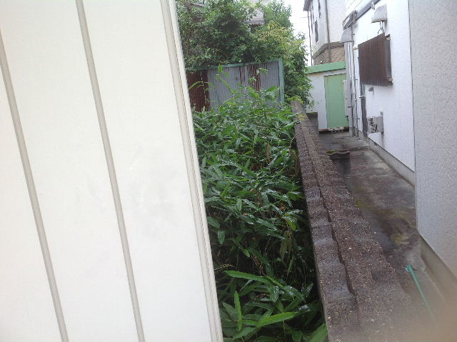f0031037_17112435.jpg