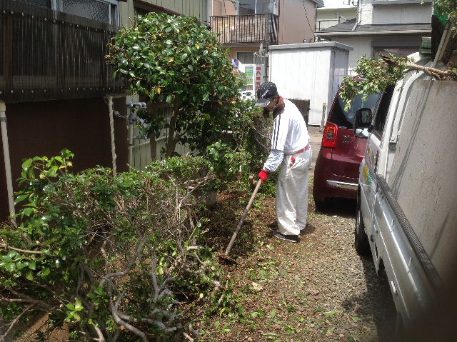 数年ぶりの植木剪定　(^-^;_f0031037_172045.jpg