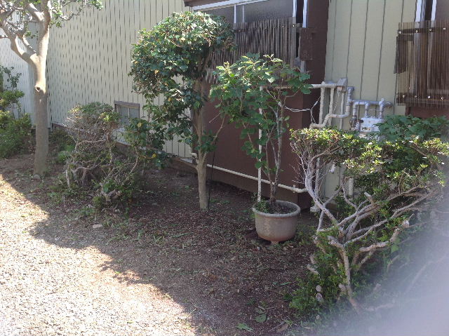 f0031037_17215731.jpg