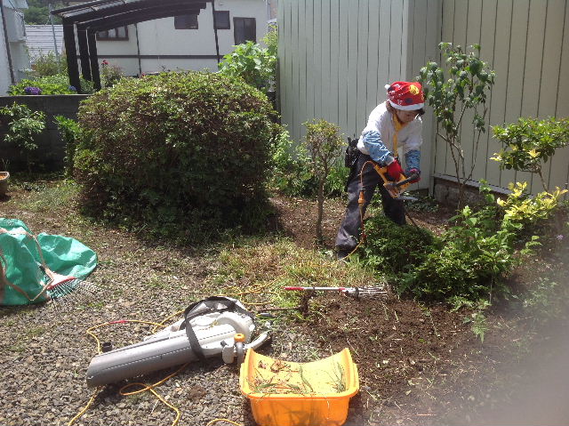 数年ぶりの植木剪定　(^-^;_f0031037_1722573.jpg