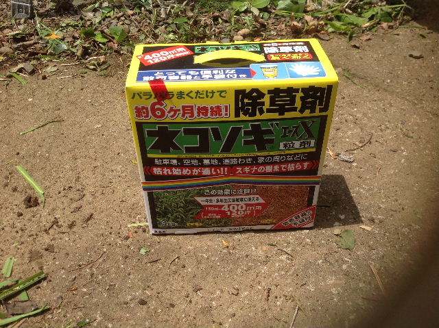 f0031037_1731162.jpg