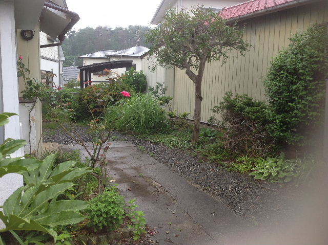 f0031037_1795764.jpg