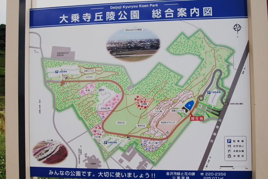 c0093046_715110.jpg