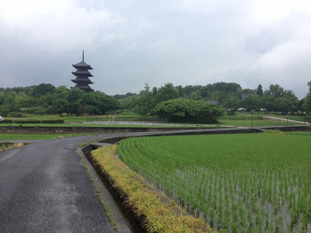 雨の備中国分寺_d0031853_0353655.jpg