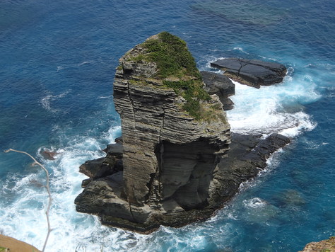 d0113459_1826995.jpg