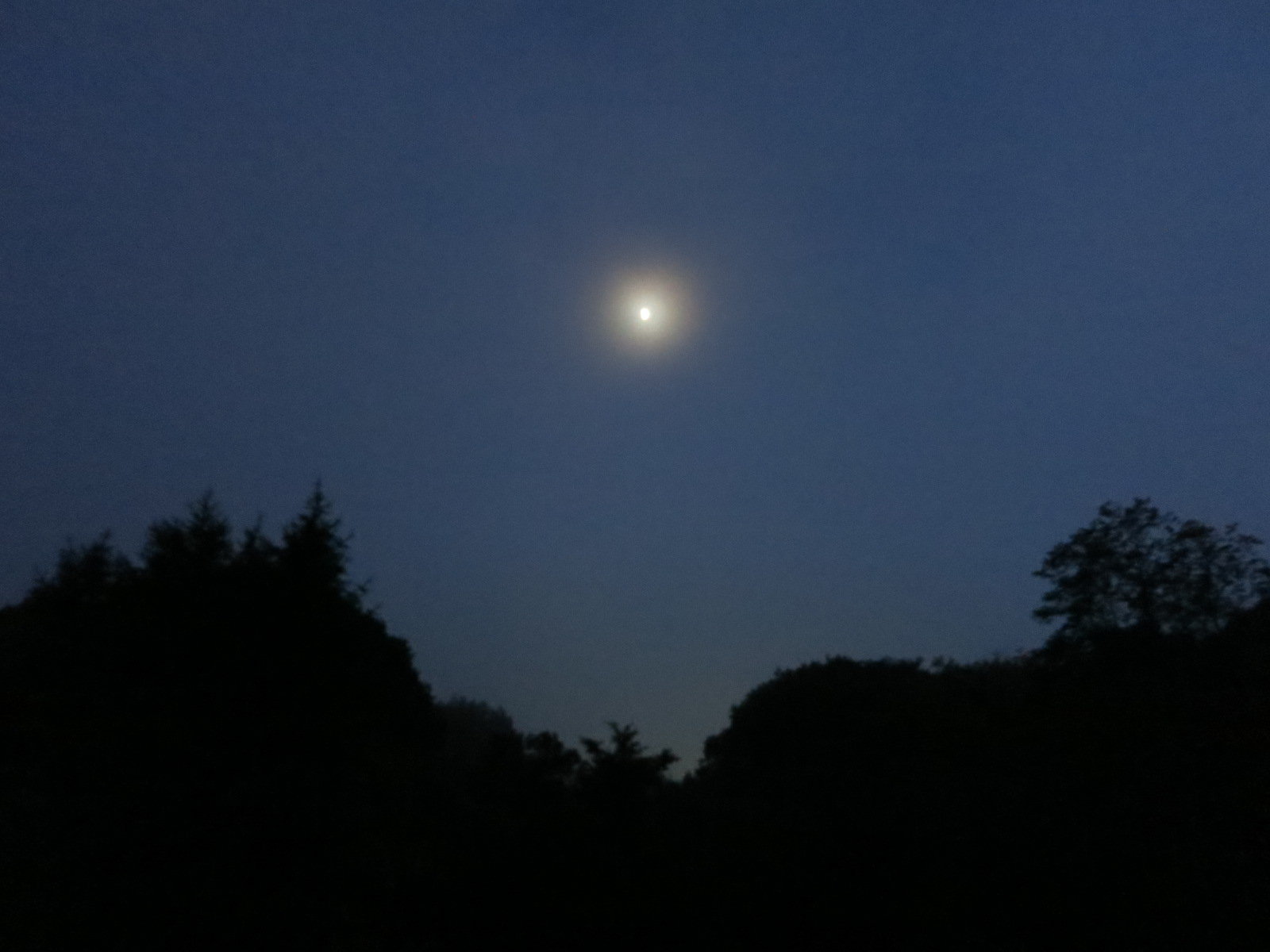 七夕☆2014~塩沢村 蛍めぐり ガイドツアー_f0236260_2205691.jpg