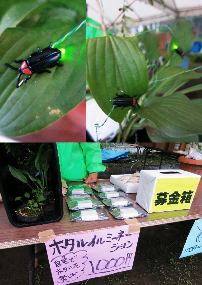 七夕☆2014~塩沢村 蛍めぐり ガイドツアー_f0236260_3595995.jpg