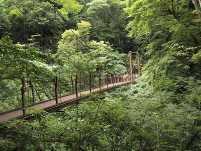 c0011862_1062479.jpg