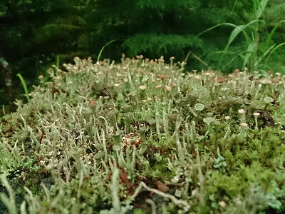 d0110562_2035251.jpg