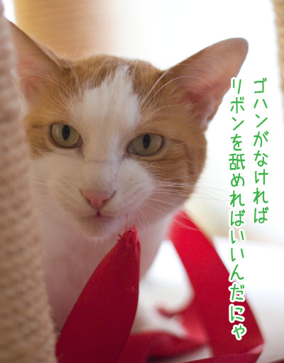 a0119470_21504398.jpg