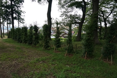 f0226571_91575.jpg
