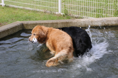 f0037378_7441459.gif
