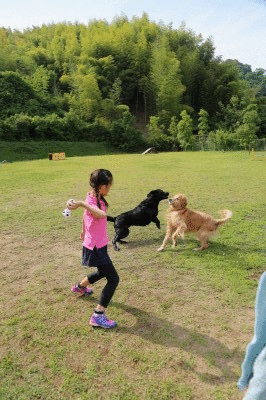 f0037378_7443723.gif