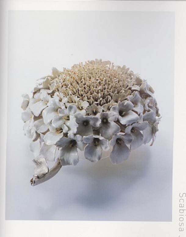 杉浦康益展 陶の博物誌 於:西宮市大谷記念美術館_d0159384_23214586.jpg