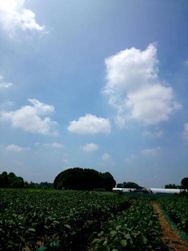 e0269586_1148744.jpg