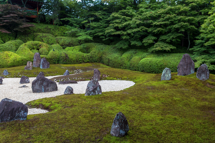 光明院（東福寺塔頭）_e0051888_14221328.jpg