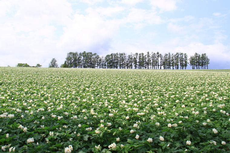 d0248502_8185878.jpg