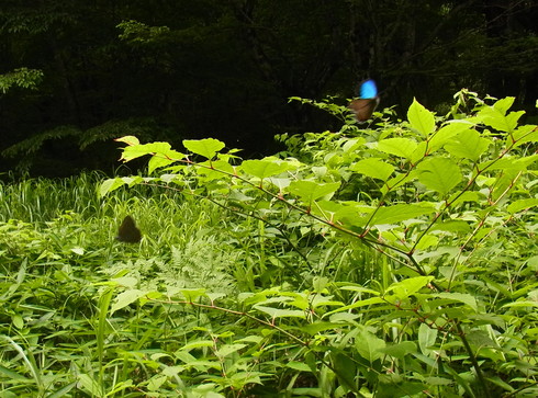 d0251807_18291857.jpg