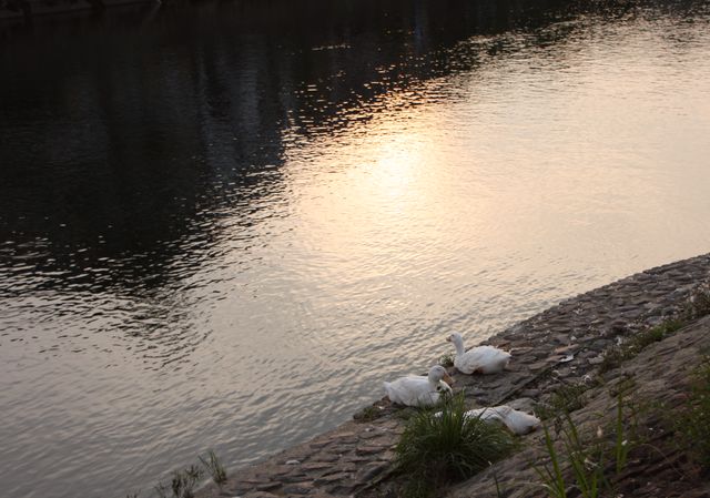 a0203510_18241776.jpg