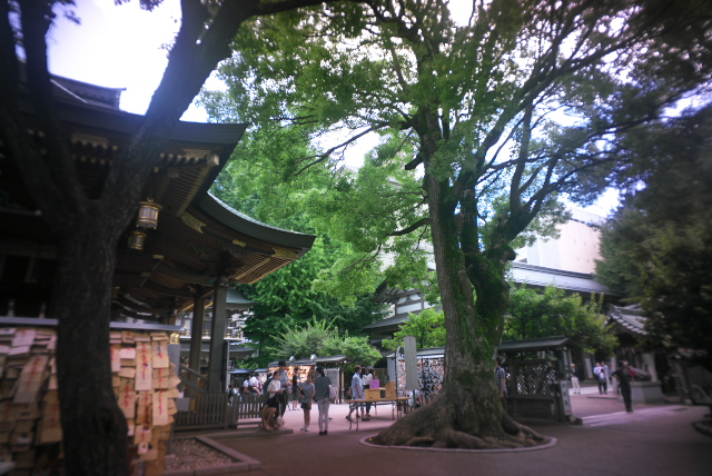 d0143011_20334895.jpg