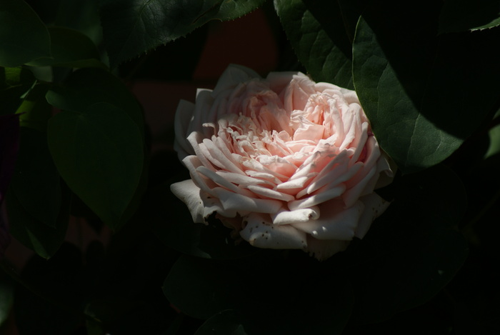 f0170524_15321437.jpg