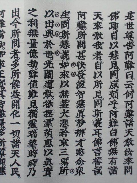 正信偈講読［77］ : 慈願寺