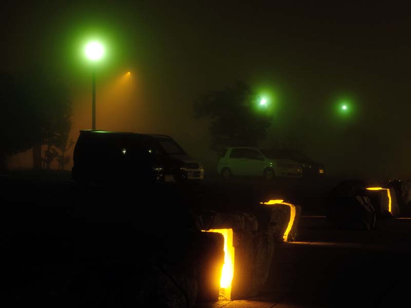 凄い濃霧でした♪_f0346040_03271359.jpg