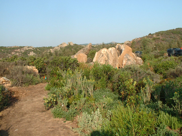 IL Giardino a Sardegna　サルデーニャ島のガーデン-1_d0262144_13462397.jpg