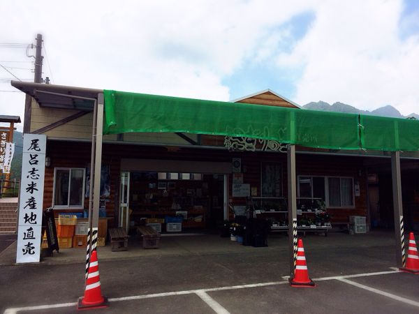 熊野古道@風伝峠コース_e0292546_21341017.jpg