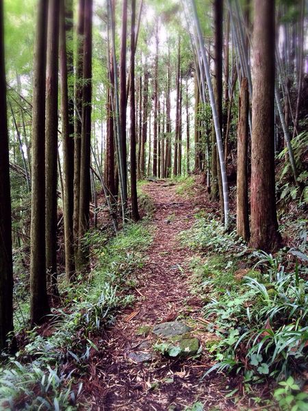 熊野古道@風伝峠コース_e0292546_21341985.jpg