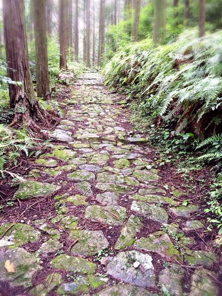 熊野古道@風伝峠コース_e0292546_21342430.jpg
