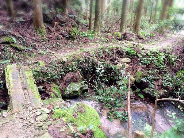 熊野古道@風伝峠コース_e0292546_21343130.jpg