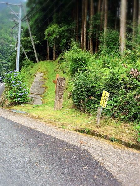熊野古道@風伝峠コース_e0292546_21343299.jpg