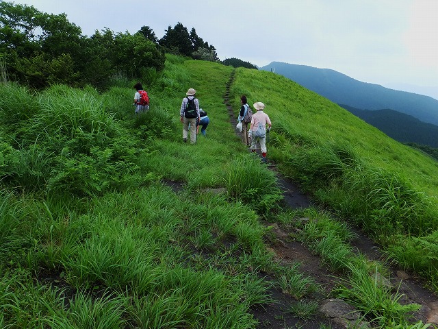 d0048350_21452346.jpg