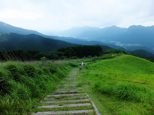 d0048350_21454020.jpg