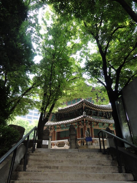 b0116765_752710.jpg