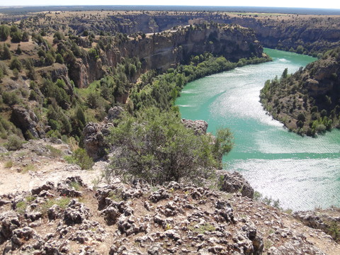 e0217368_92689.jpg