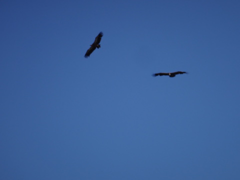 e0217368_95018.jpg