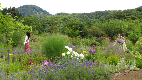 米山ガーデンはラベンダー盛り_d0182179_1865567.jpg