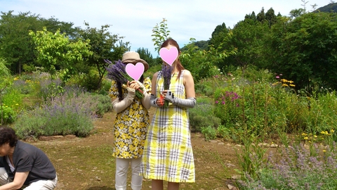 米山ガーデンはラベンダー盛り_d0182179_19304965.jpg