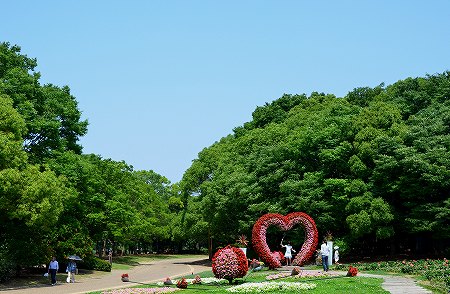 c0229483_1640149.jpg