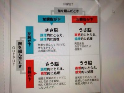 うさ脳 Junko S Blog うさ脳 Junko S Blog