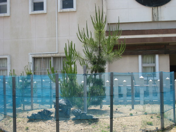 d0287413_9175994.jpg